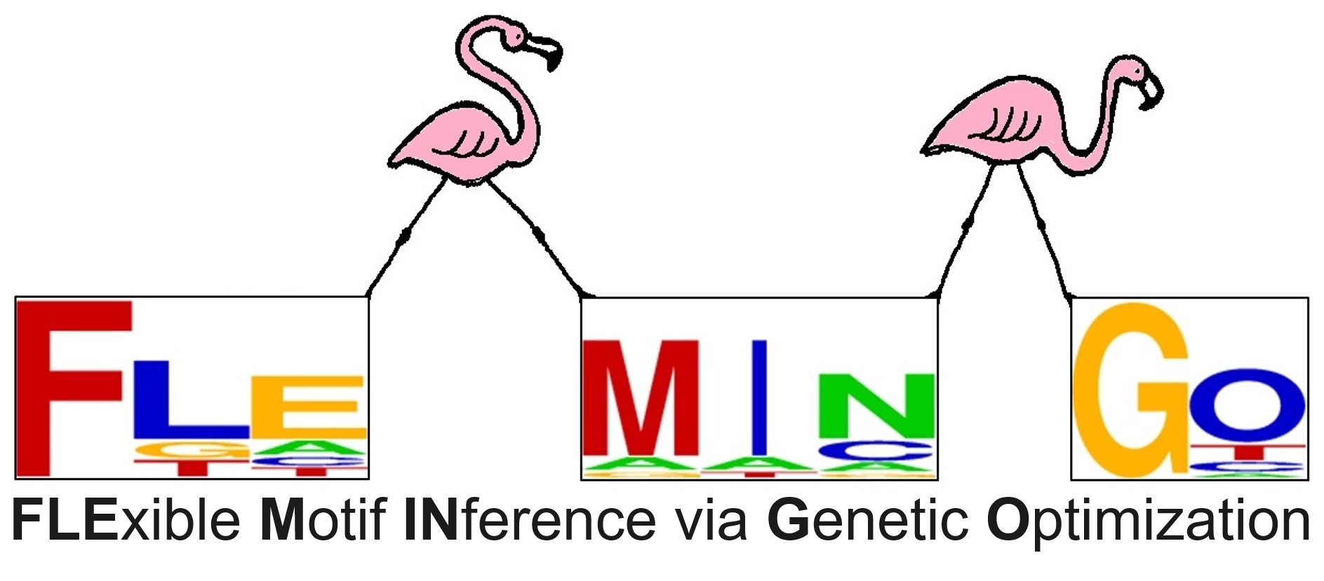 The logo of the bioinformatic tool FLEMINGO, showing flamingos connecting sequence logos with their legs